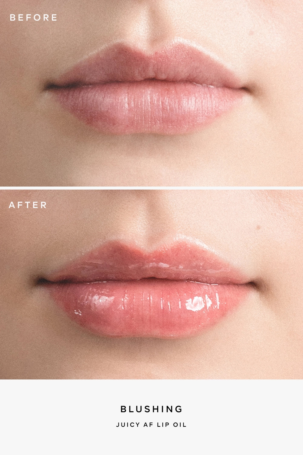 Perfect Lip Kit