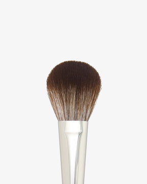 Luxurious Powder Brush F1