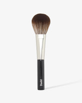 Luxurious Powder Brush F1